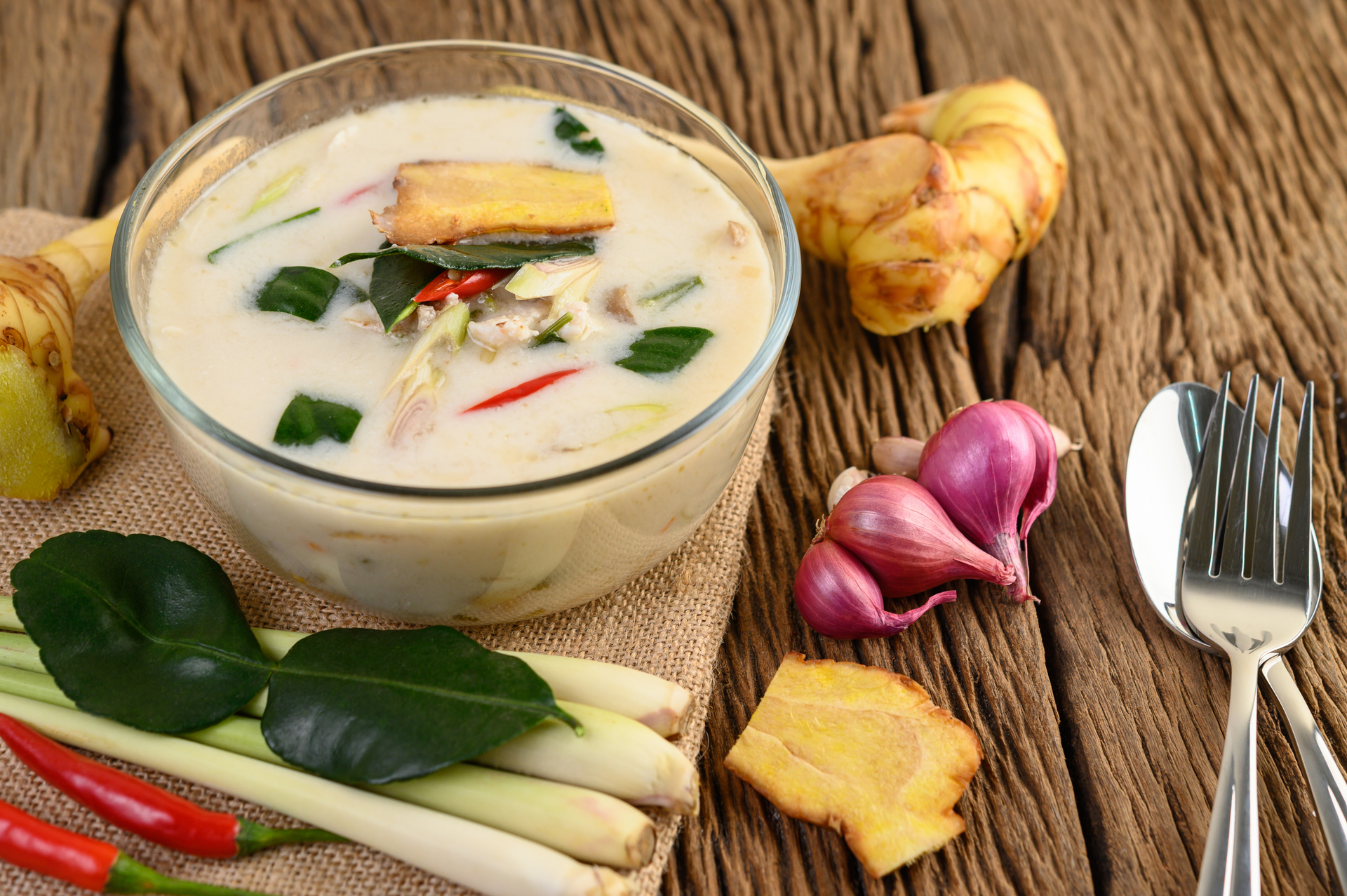 Aromatic Thai Lemongrass Chicken Soup with Coconut Milk