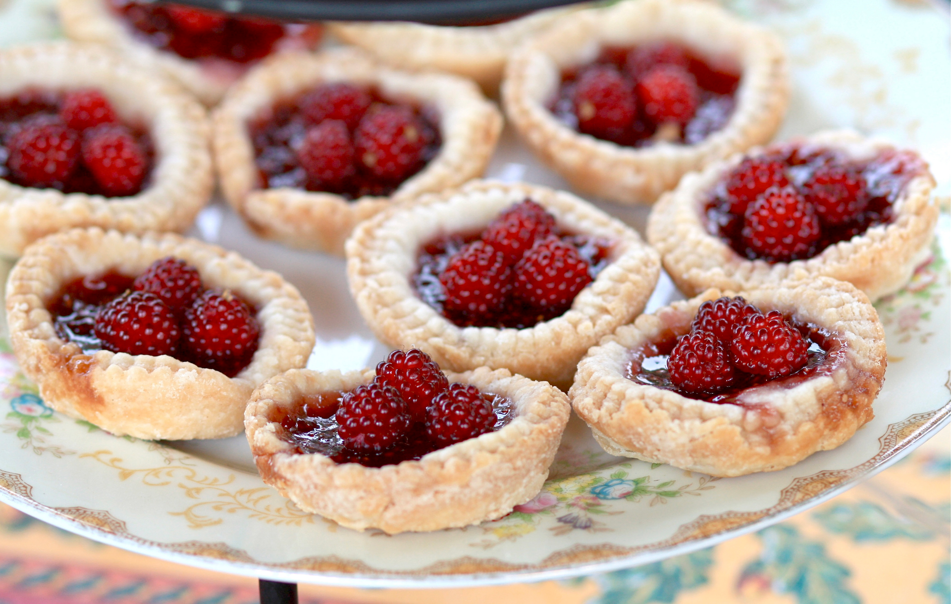 Bavarian Raspberry Linzer Torte with Hazelnut Crust — Dessert served and photographed from above