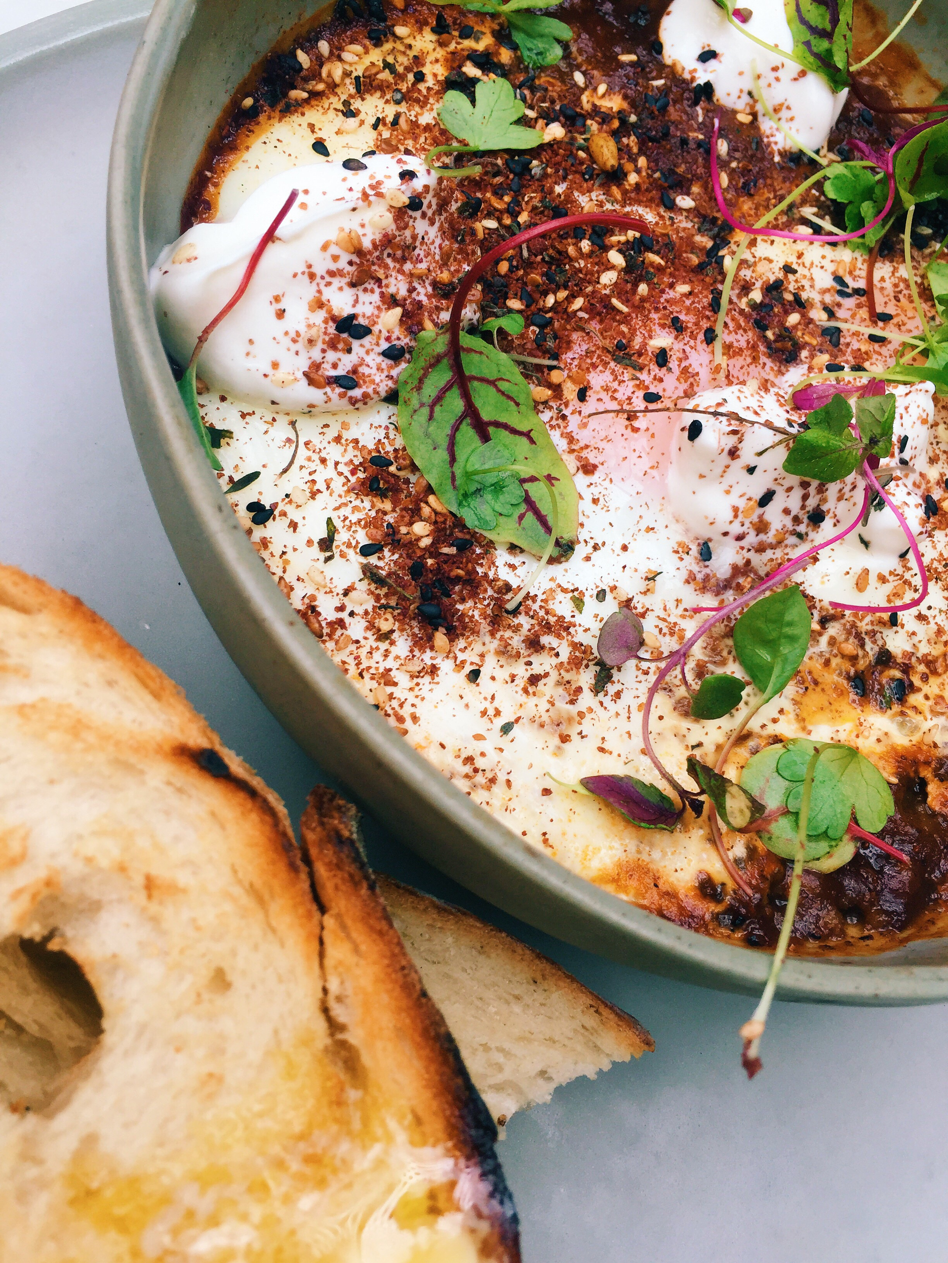 Overhead flat-lay of all ingredients for Creamy Tunisian Shakshuka with Harissa and Eggs laid out on a kitchen surface.