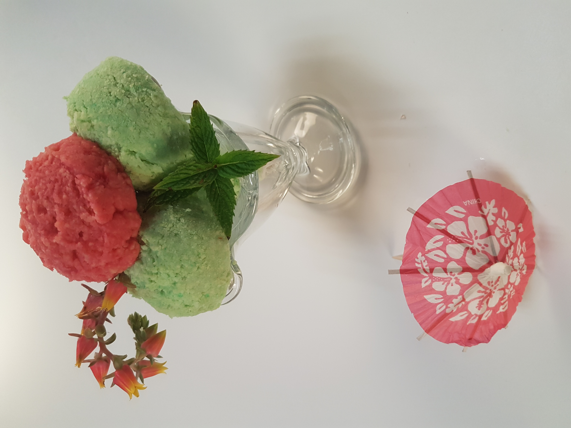 Overhead flat-lay of all ingredients for Floral Cuban Mojito Sorbet with Fresh Mint and Lime laid out on a kitchen surface.
