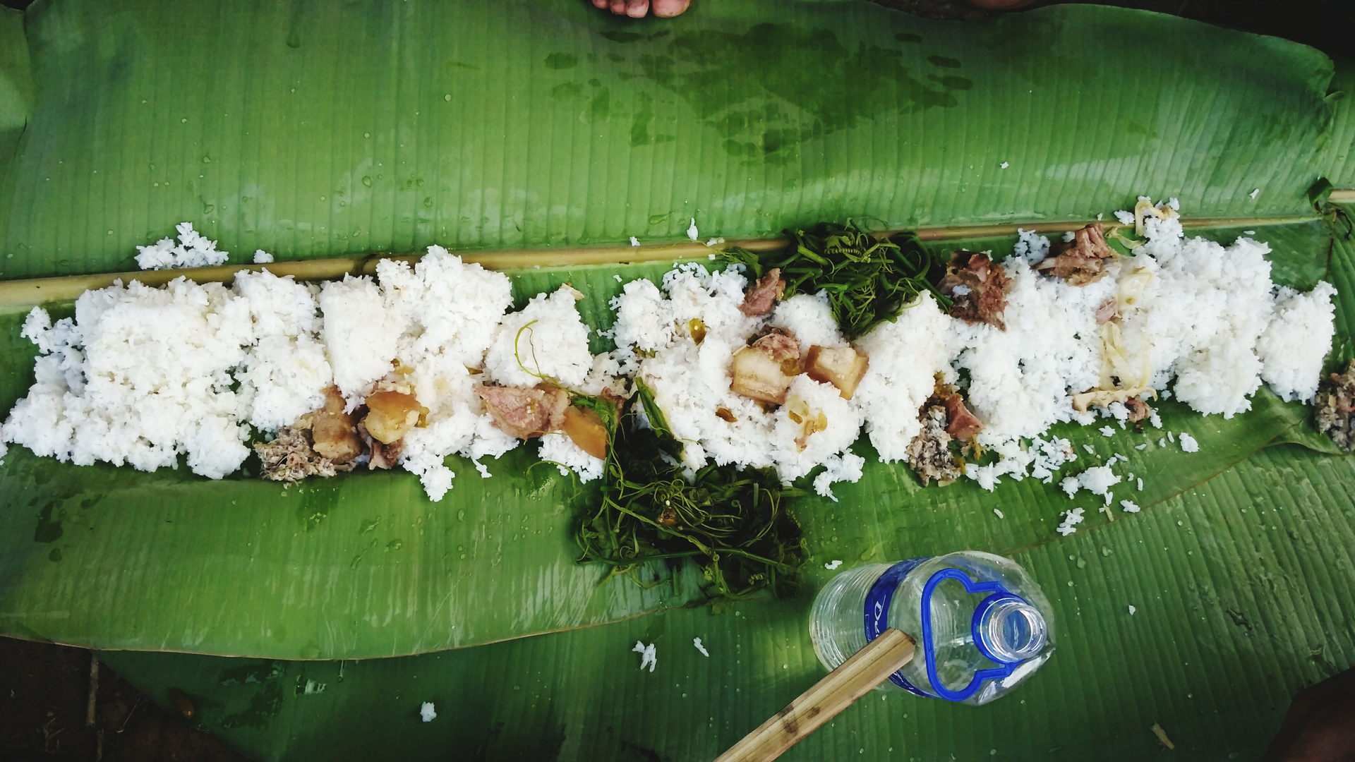 Overhead flat-lay of all ingredients for Fragrant Lao Nam Khao Tod with Crispy Coconut Rice and Herbs laid out on a kitchen surface.