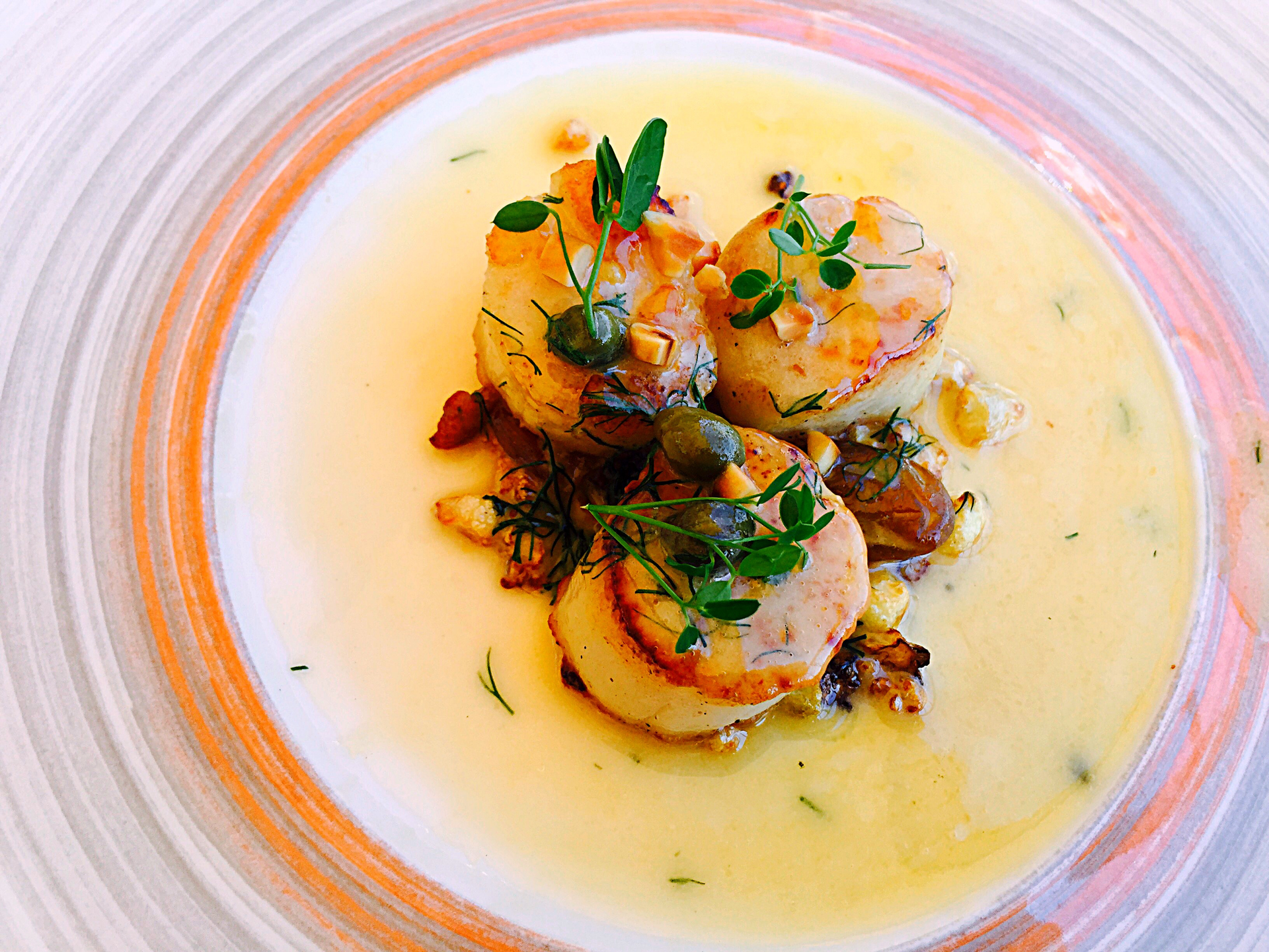 French Coquilles Saint-Jacques with White Wine Cream Sauce — Main Course served and photographed from above