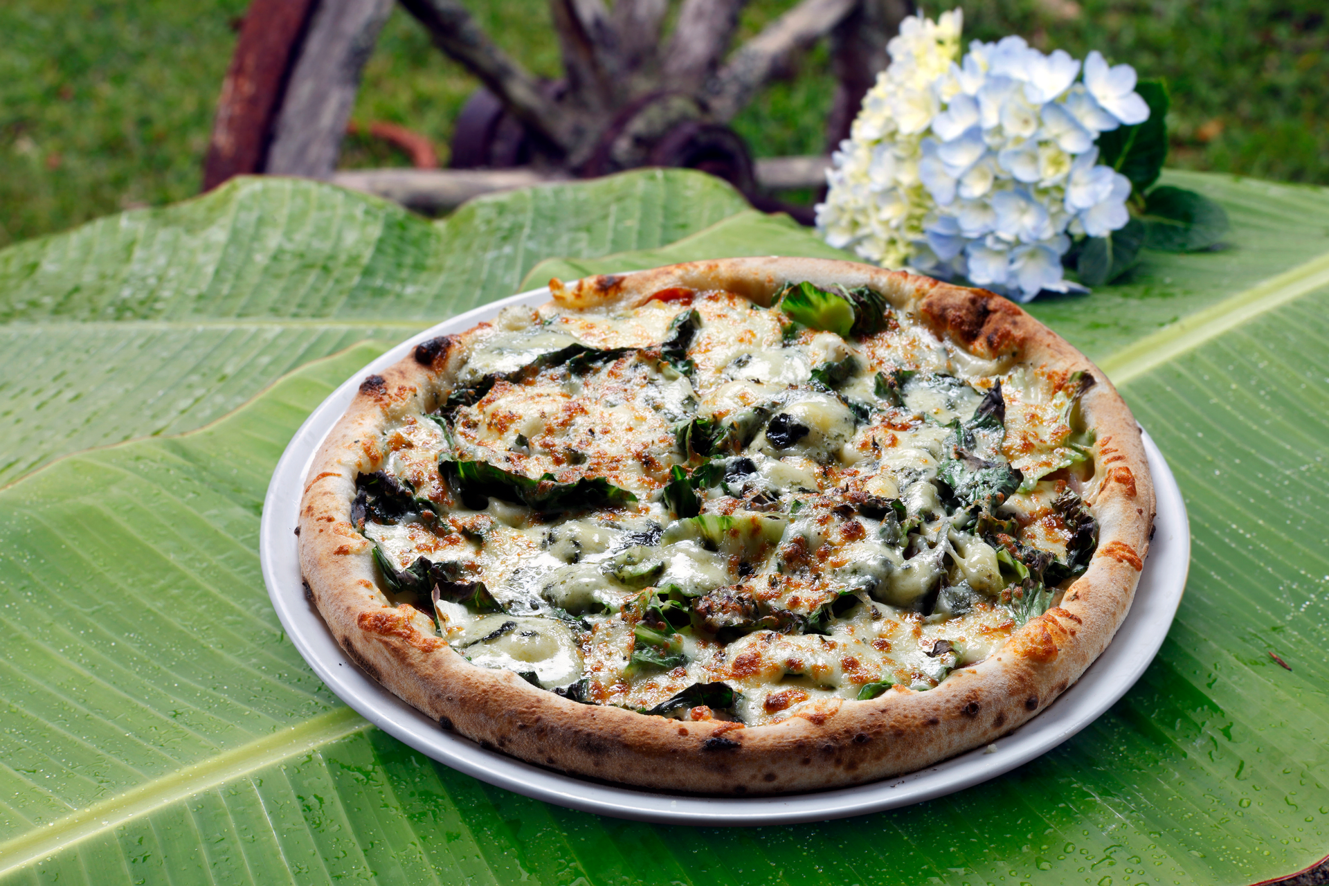 Overhead flat-lay of all ingredients for Generously Topped French White Truffle Pizza with Tarragon and Goat Cheese laid out on a kitchen surface.
