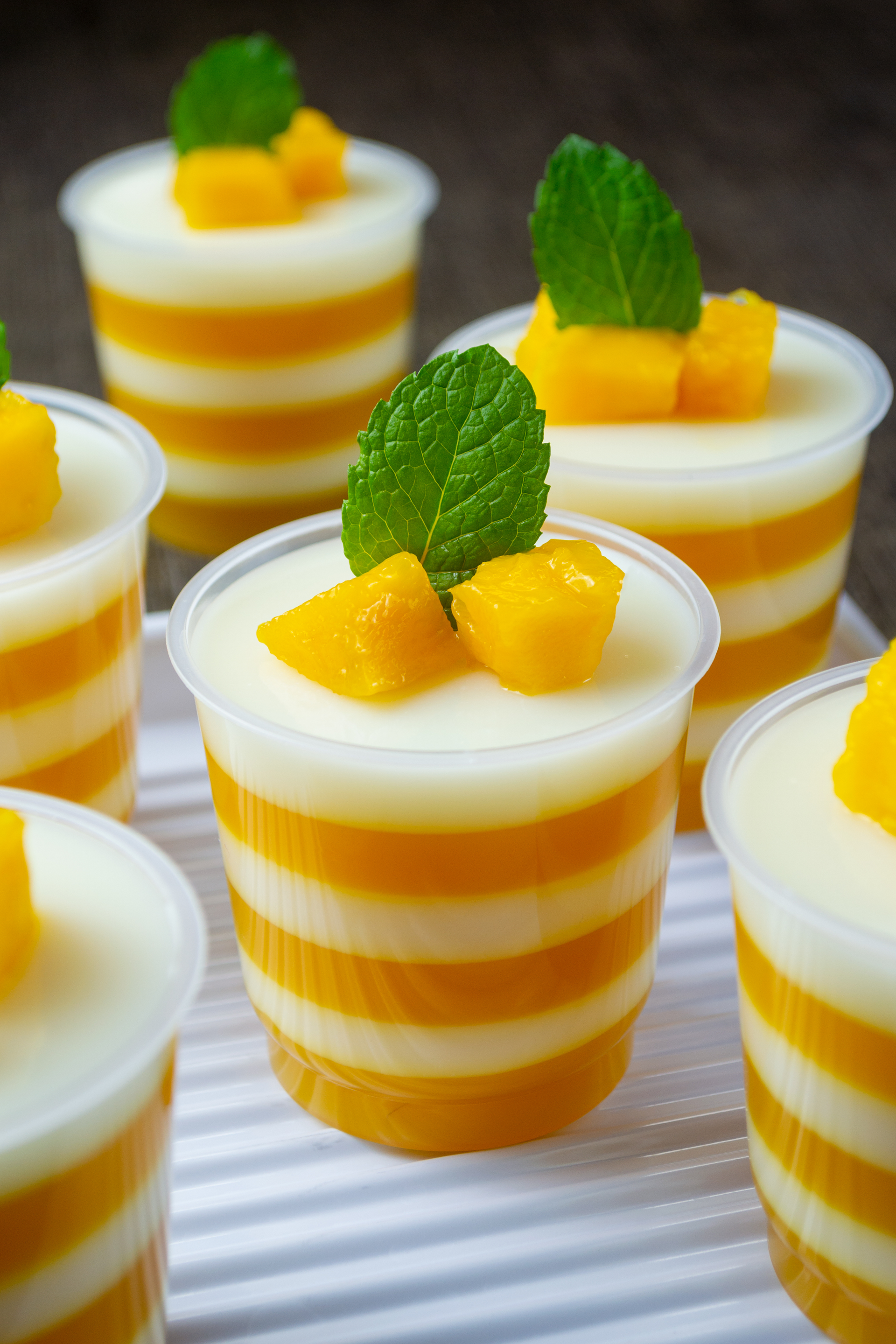 Haitian Vanilla-Scented Cream Custard with Fresh Mango — Dessert served and photographed from above