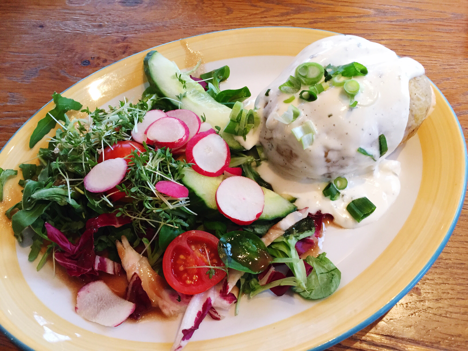 Hearty Belgian Waterzooi with Chicken and Root Vegetables — Main Course served and photographed from above