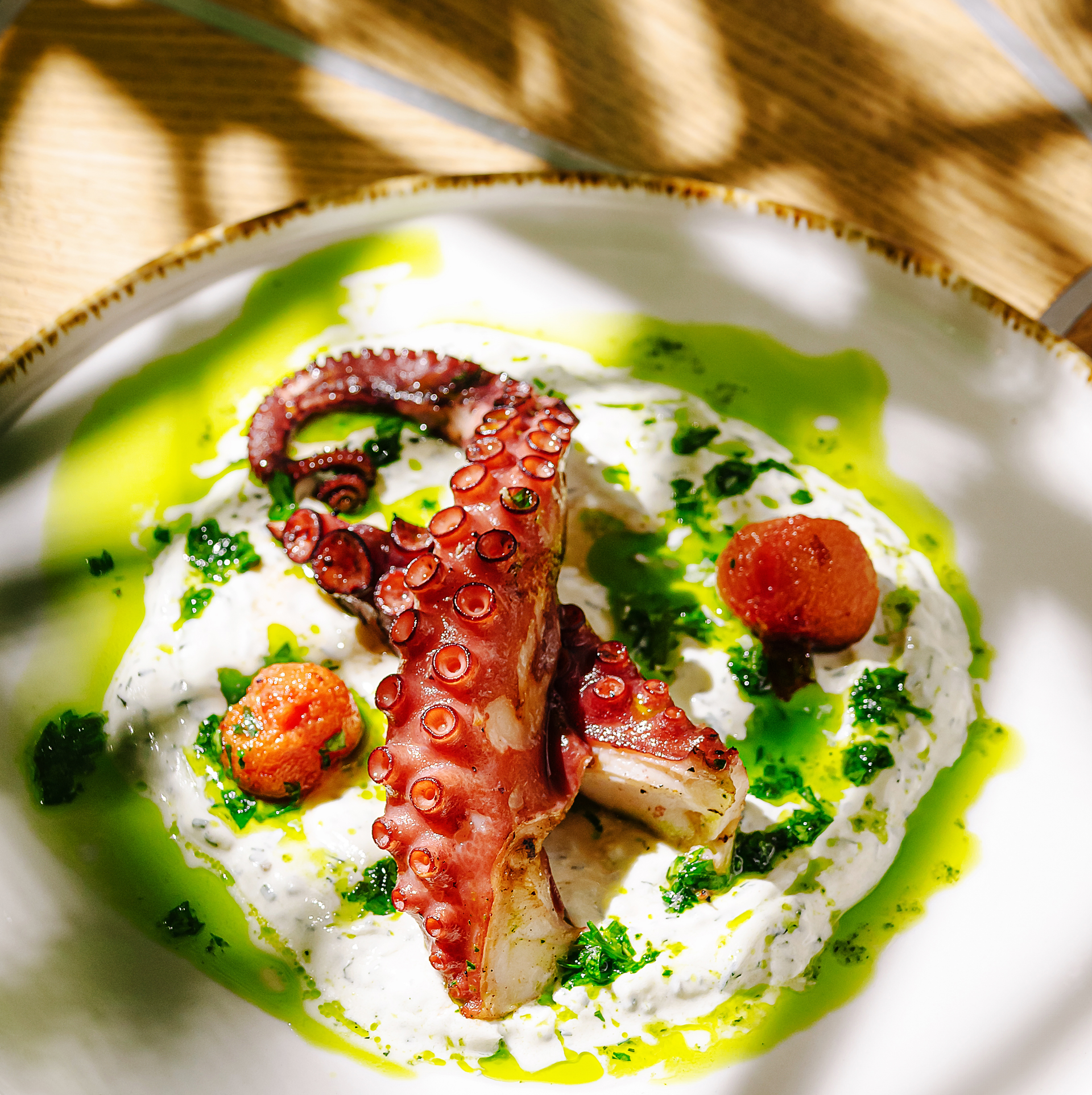 Herb-Infused Tangy Greek Octopus Souvlaki with Garlic Herb Dip — Main Course served and photographed from above