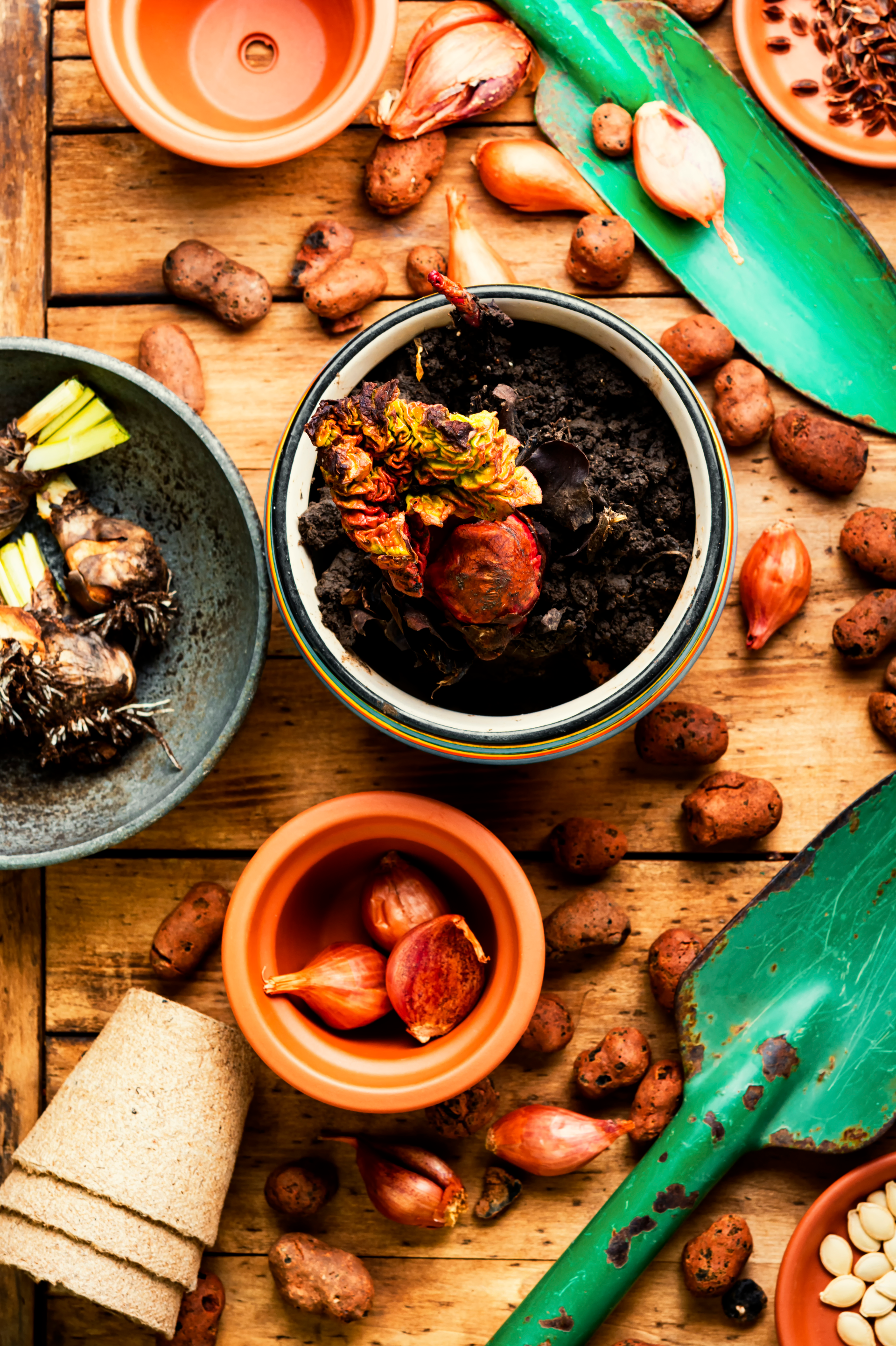 Herbaceous Brazilian Barreado — Main Course served and photographed from above