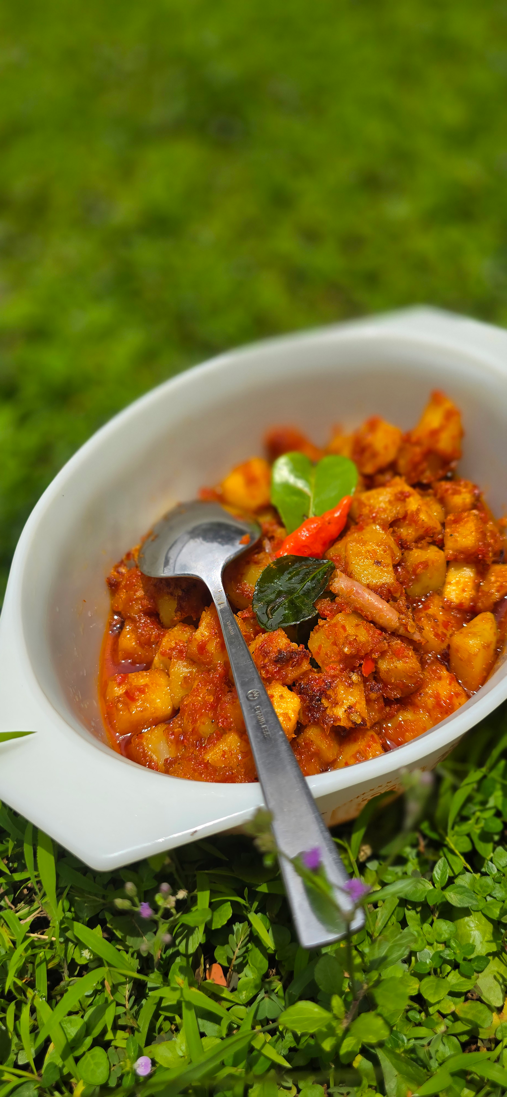 Overhead flat-lay of all ingredients for Indian Cashew Curry with Fenugreek and Tomato Sauce laid out on a kitchen surface.