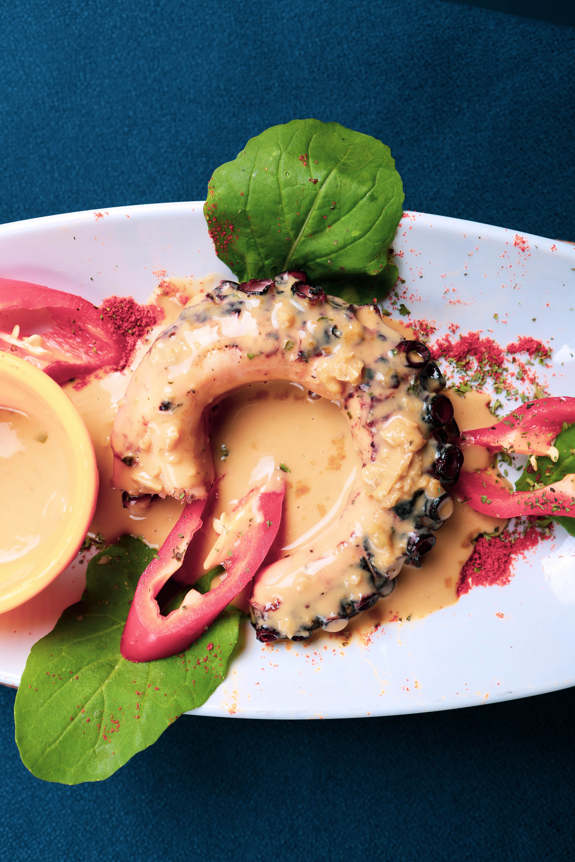 Overhead flat-lay of all ingredients for Lemon-Thyme Grilled Greek Octopus with Ouzo Splash laid out on a kitchen surface.