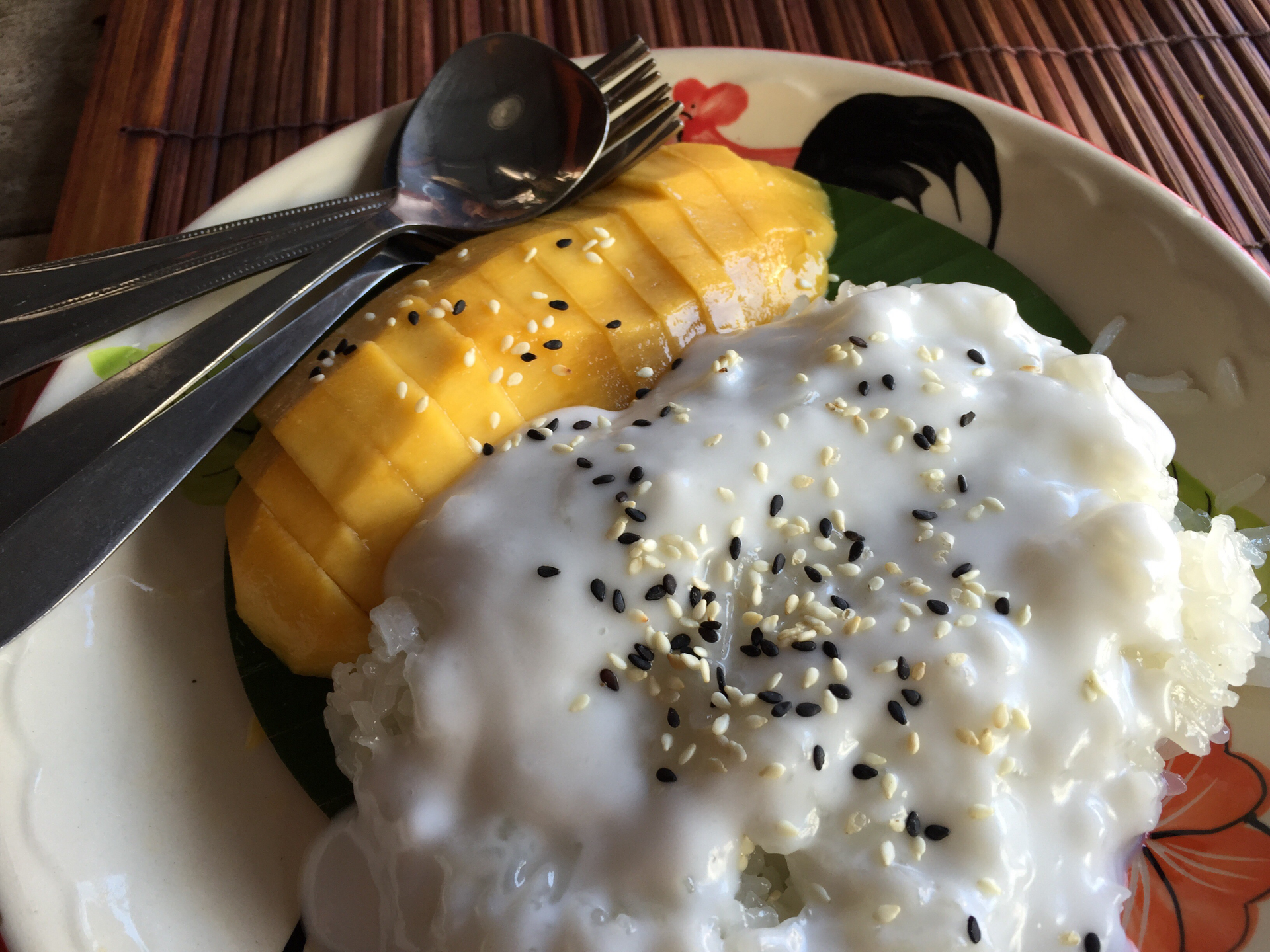 Overhead flat-lay of all ingredients for Lush Caribbean Cassava Pudding with Coconut Cream laid out on a kitchen surface.
