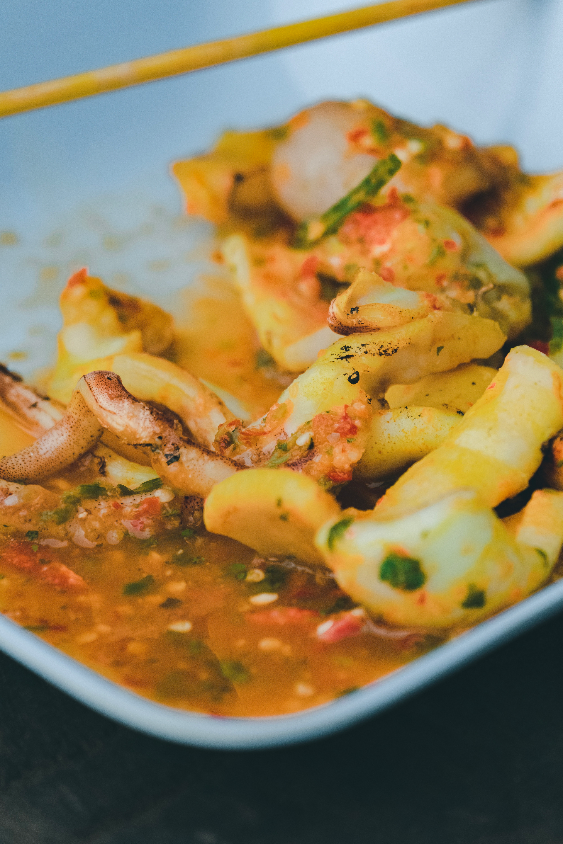 Mauritian Octopus Curry with Turmeric and Coconut — Main Course served and photographed from above