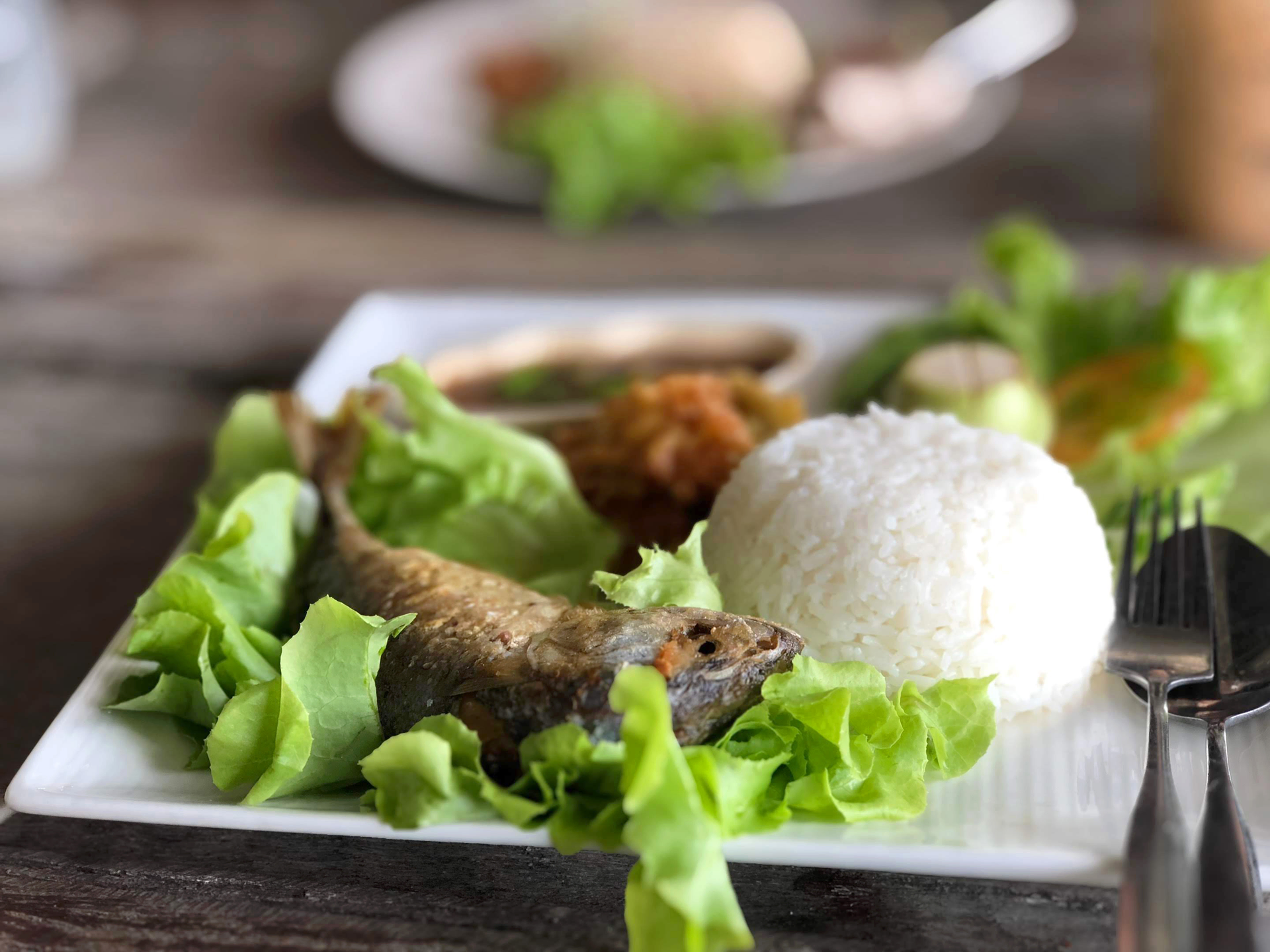 Mauritian Sugarcane-Glazed Fish with Coconut Rice — Main Course served and photographed from above