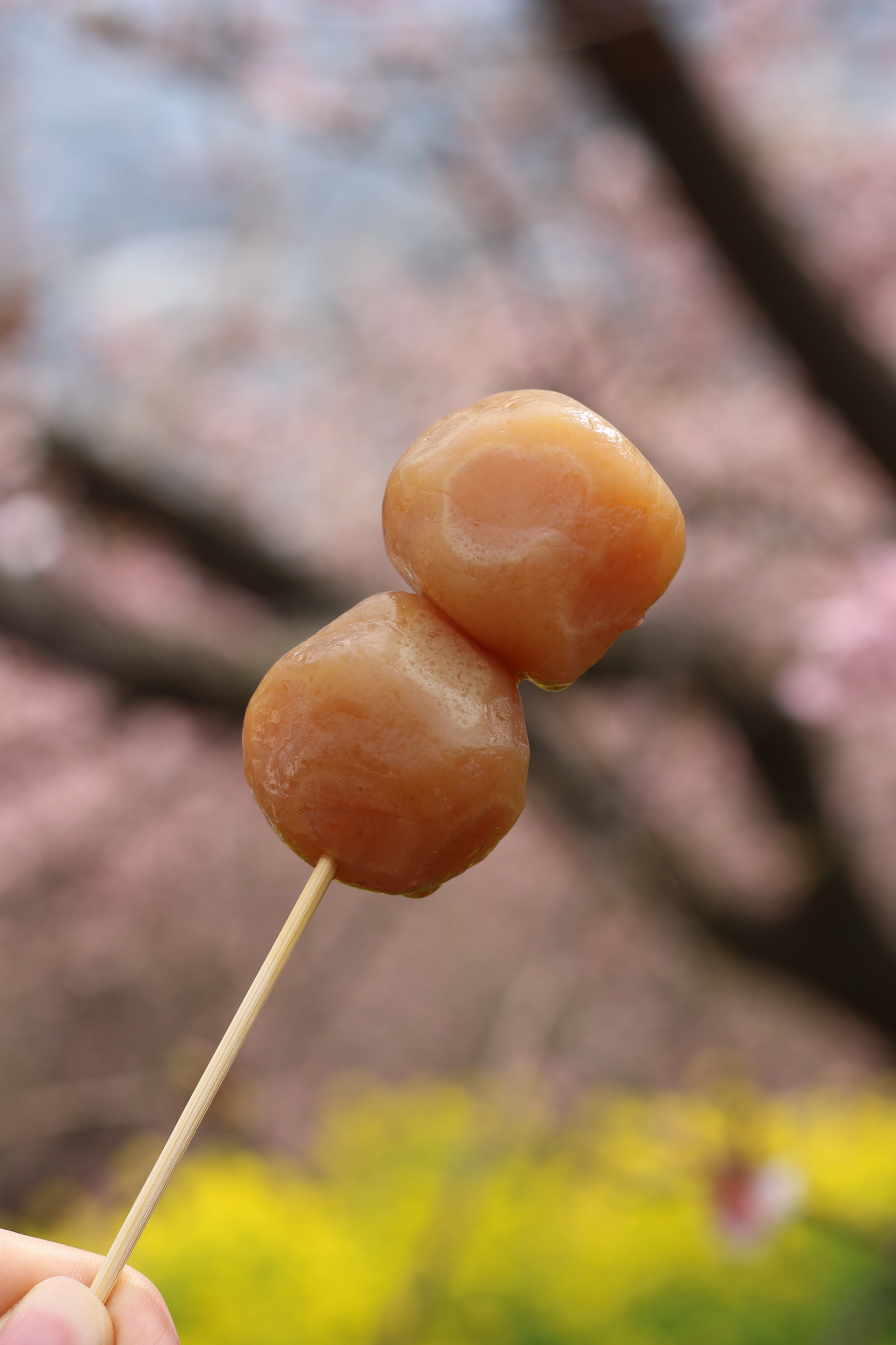 Mitarashi Dango with Sweet Soy Glaze — Dessert served and photographed from above