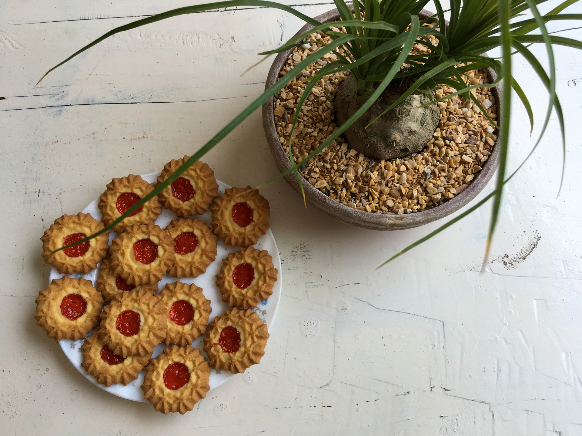 Overhead flat-lay of all ingredients for Moroccan Almond Tartlets with Orange Flower Water laid out on a kitchen surface.