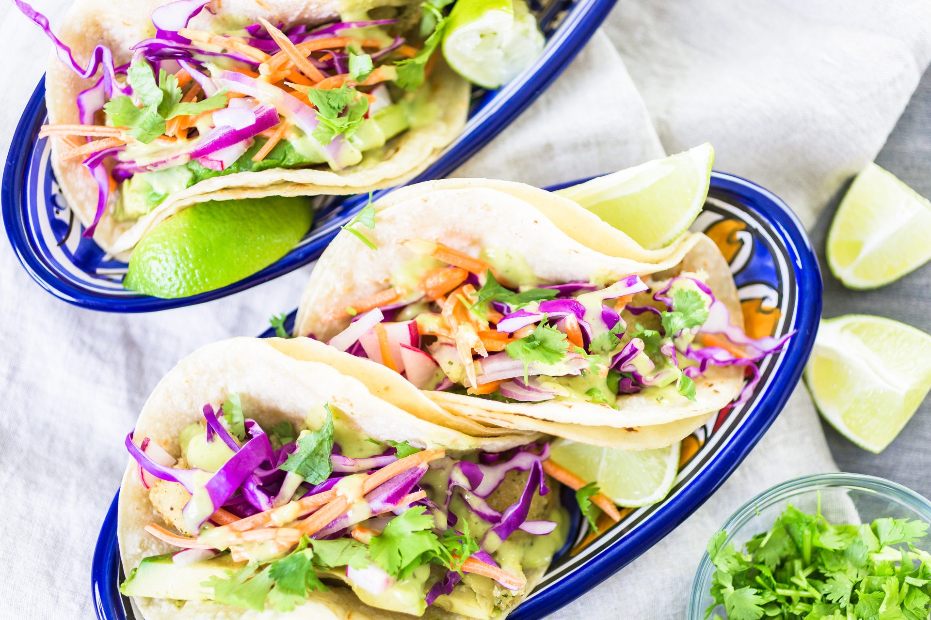 Panamanian Ropa Vieja Tacos with Fresh Cilantro Slaw — Main Course served and photographed from above