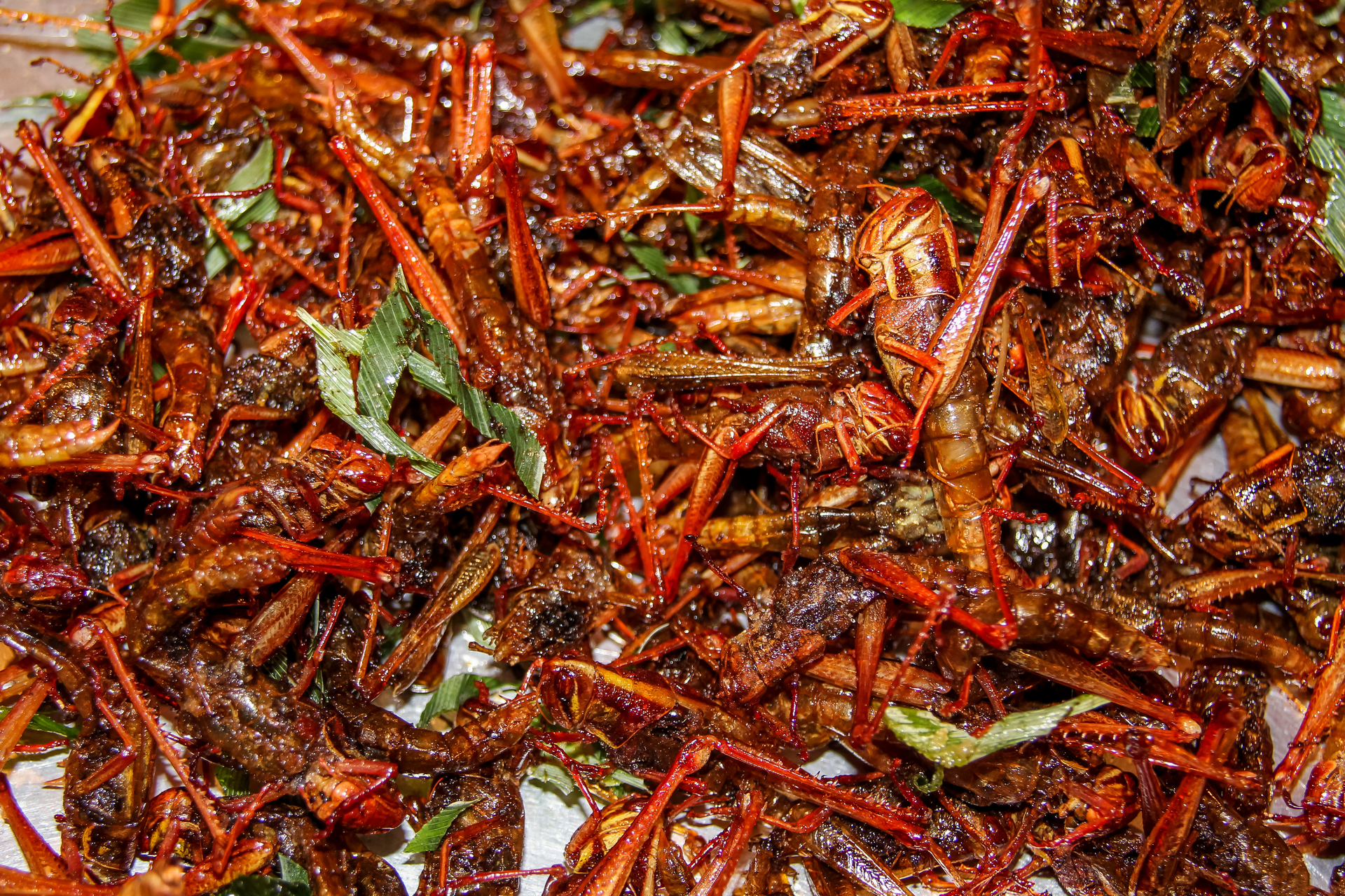 Overhead flat-lay of all ingredients for Piquant Cameroonian Ndole with Crayfish and Bitterleaf laid out on a kitchen surface.