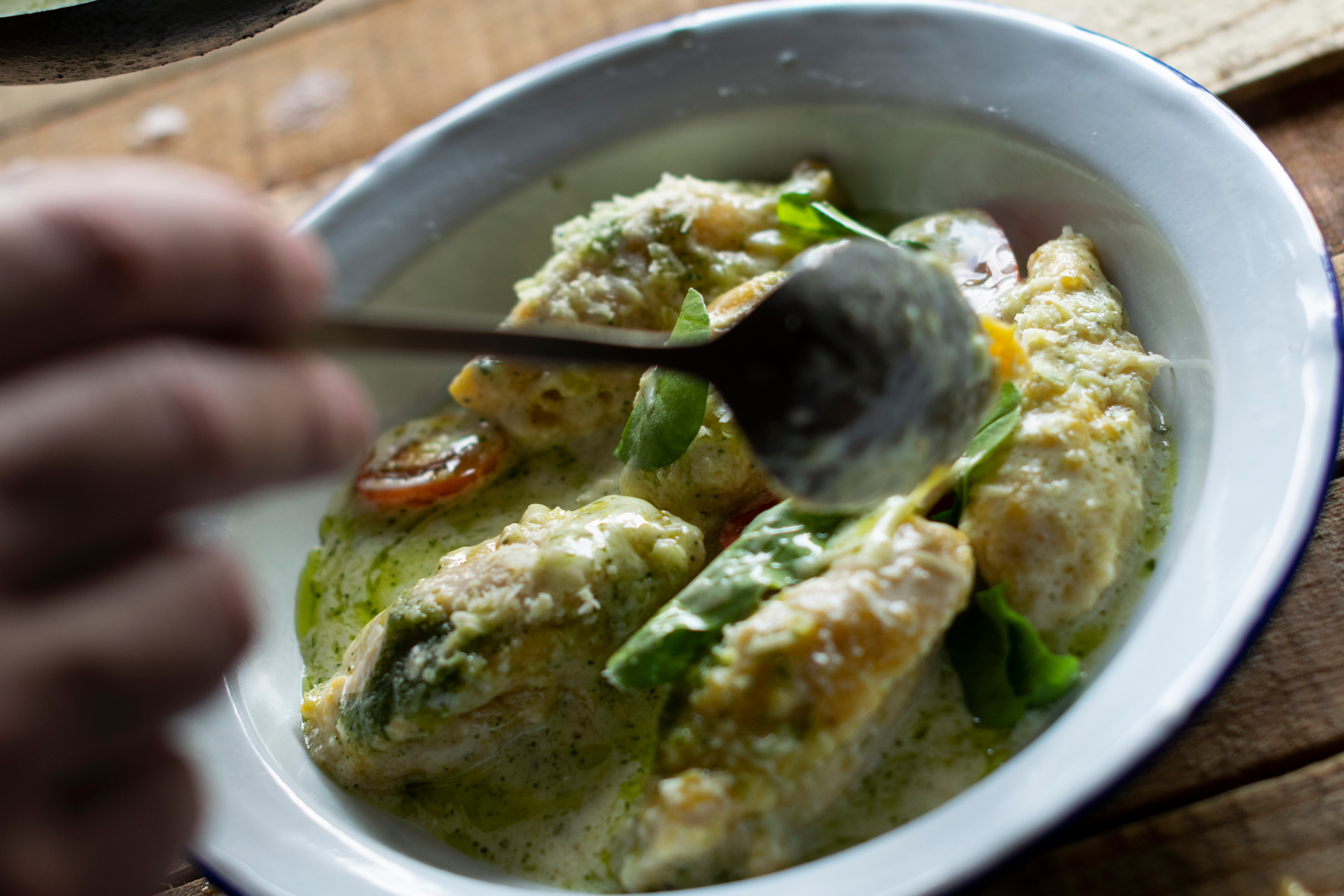Savory Guatemalan Jocón de Pollo with Cilantro Sauce — Main Course served and photographed from above