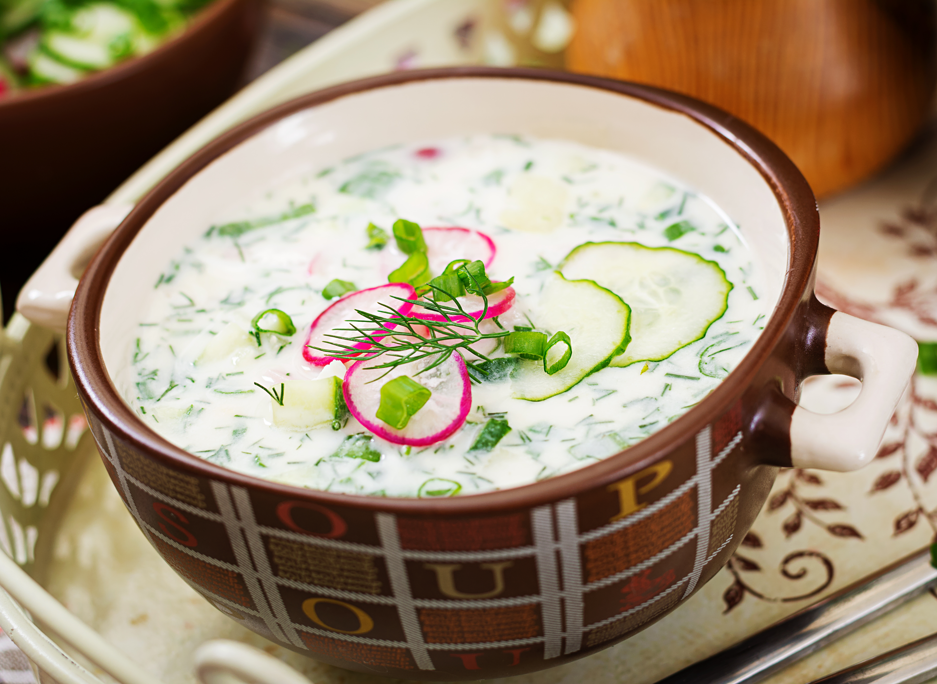 Silken Turkish Yogurt Soup with Mint and Garlic — Soup served and photographed from above