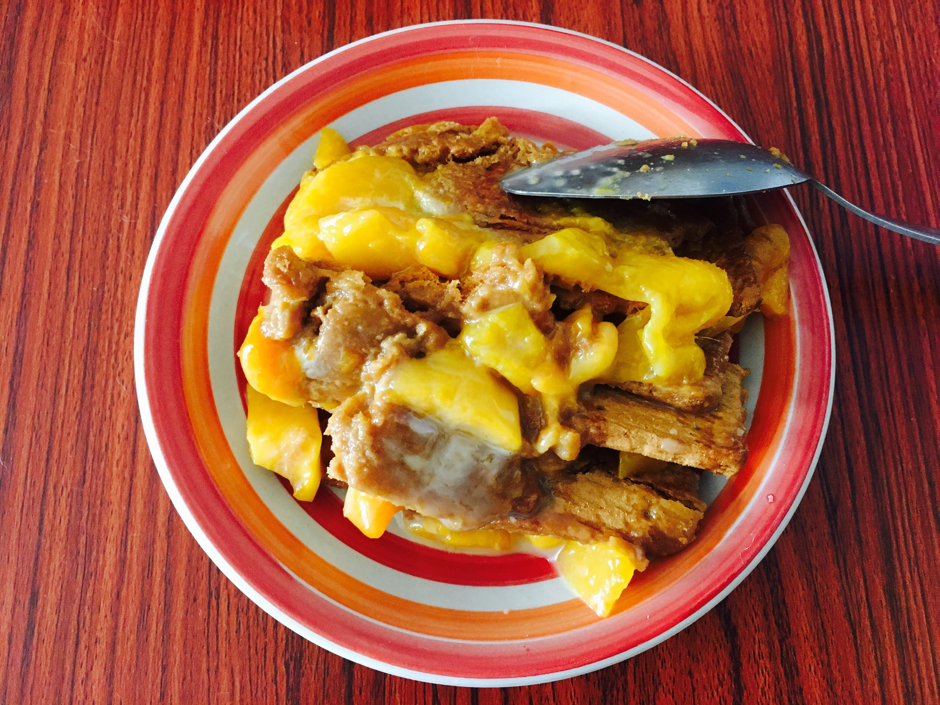 Silky Peruvian Tripas a la Mode with Huancaína Sauce — Main Course served and photographed from above