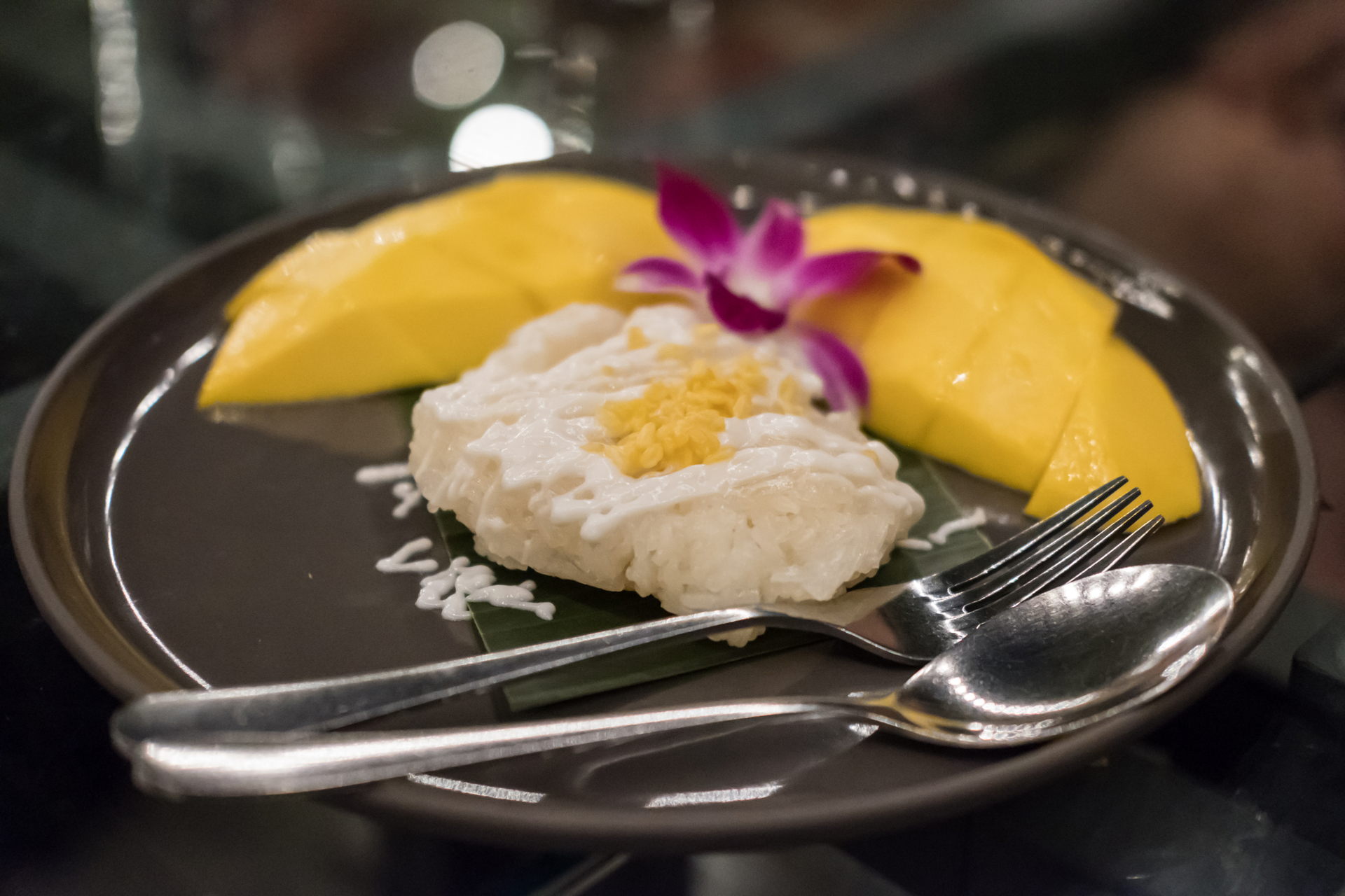 Silky Thai Coconut Mango Tapioca Pudding with Toasted Coconut — Dessert served and photographed from above