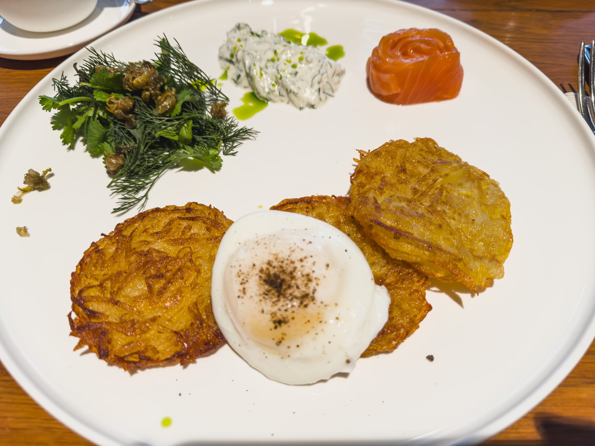 Sizzling Corsican Brocciu Fritter with Herb Garnish — Appetizer served and photographed from above