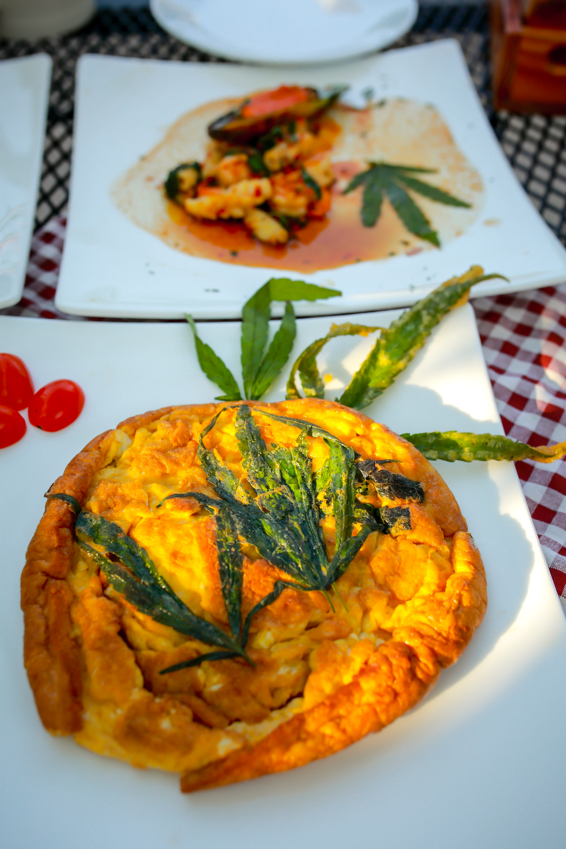 South African Bobotie Phyllo Bites with Apricot Glaze — Appetizer served and photographed from above