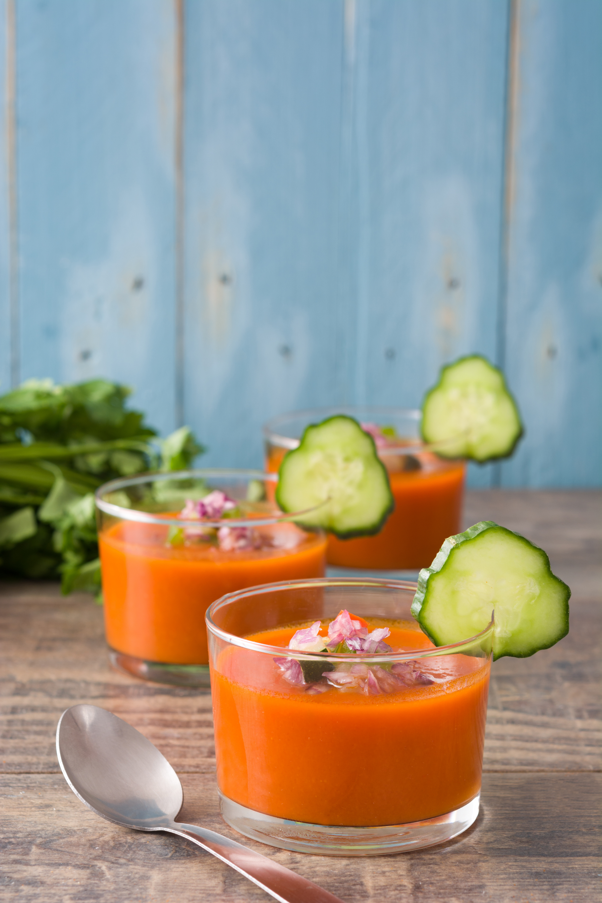 Spanish Gazpacho with Cilantro and Jalapeño — Appetizer served and photographed from above