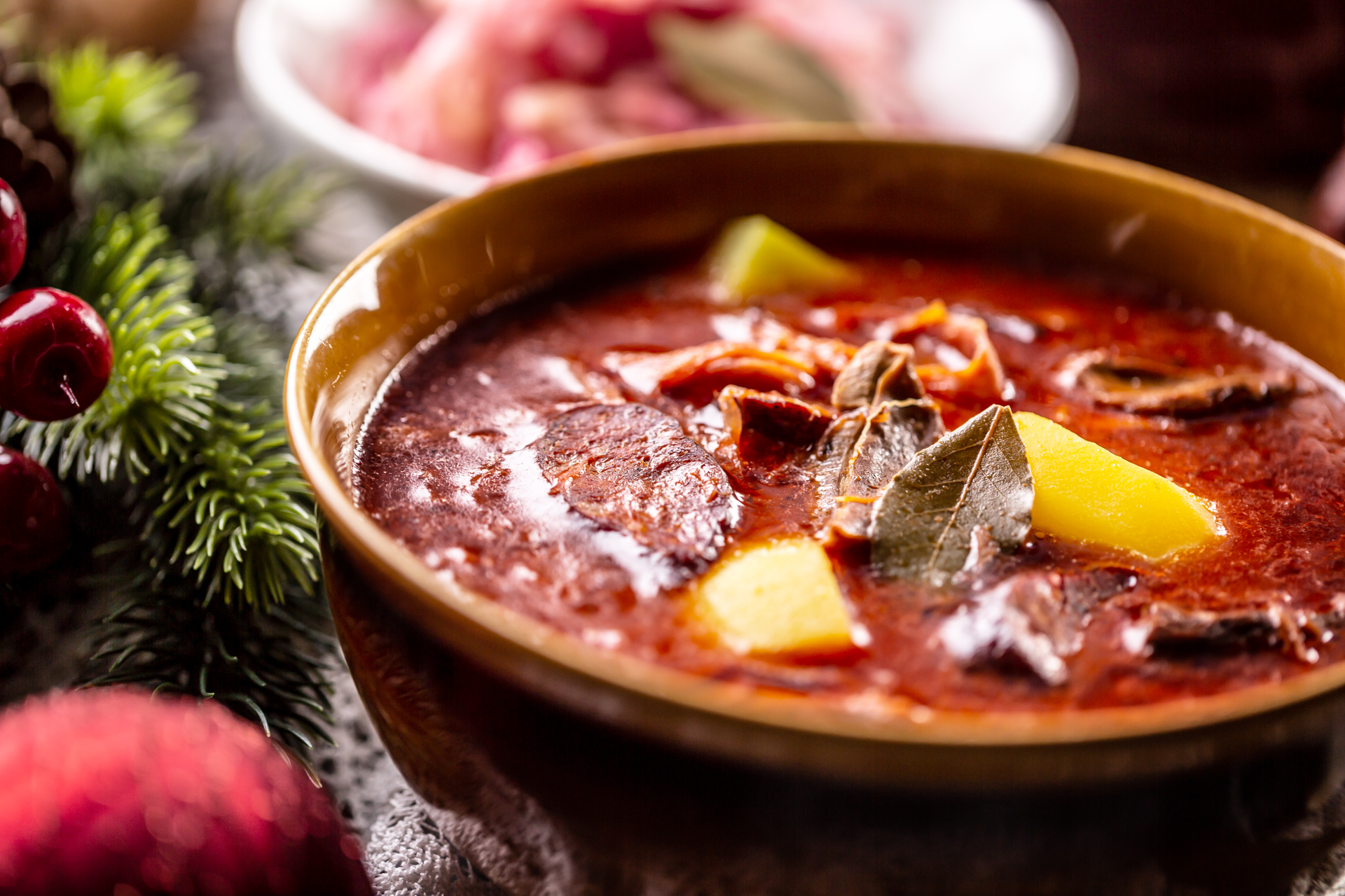 Spicy Scandinavian Reindeer Stew with Lingonberry Relish — Main Course served and photographed from above