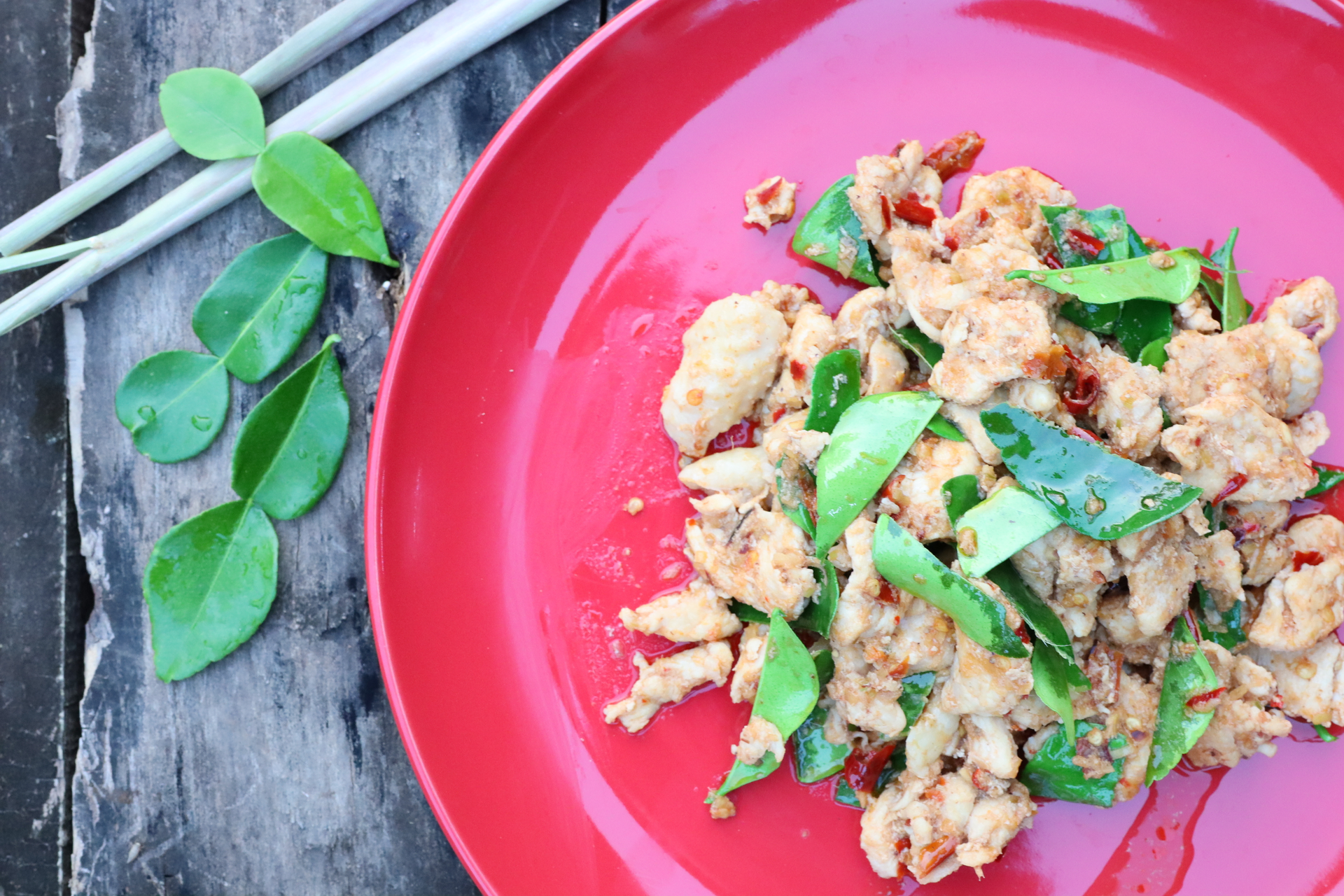Spicy Thai Basil Chicken with Red Chili and Garlic — Main Course served and photographed from above