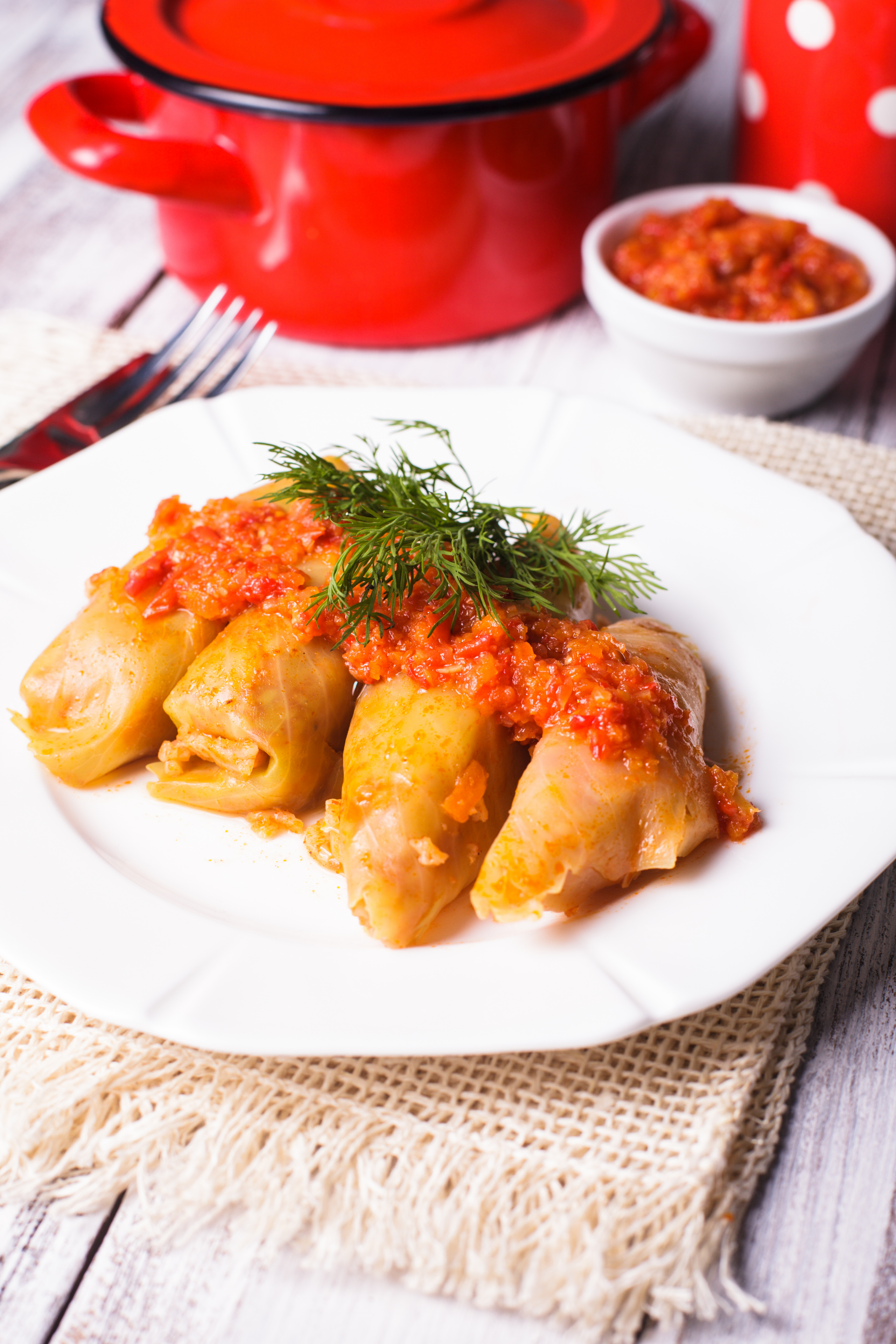 Tender Polish Golabki with Tomato Sauce — Main Course served and photographed from above