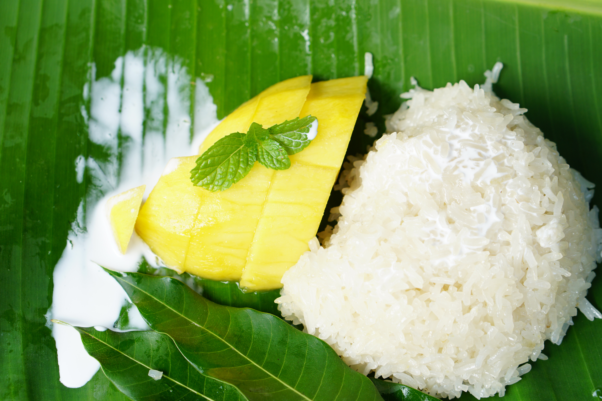 Overhead flat-lay of all ingredients for Vietnamese Coconut Sticky Rice with Fresh Mango and Lemongrass laid out on a kitchen surface.
